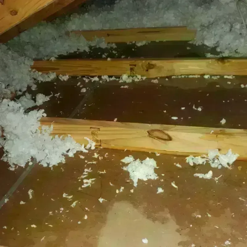 Attic Water Damage in Exton, PA